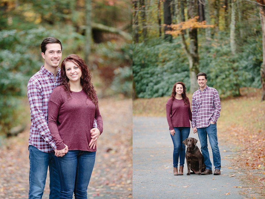 Blue Ridge Parkway Engagement Photographer