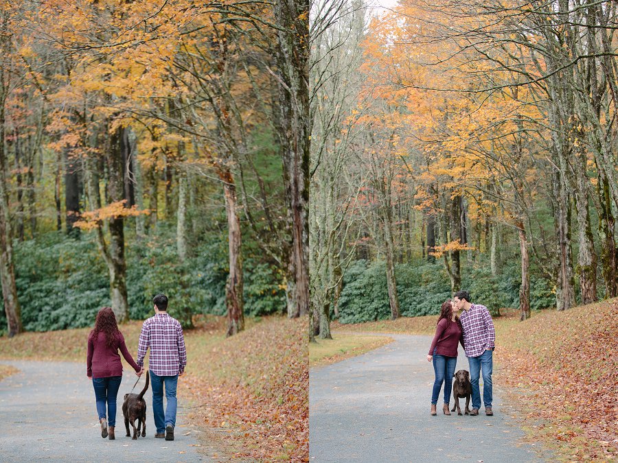 Blue Ridge Parkway Engagement Photographer